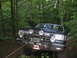 Dawson Forrest 035.jpg